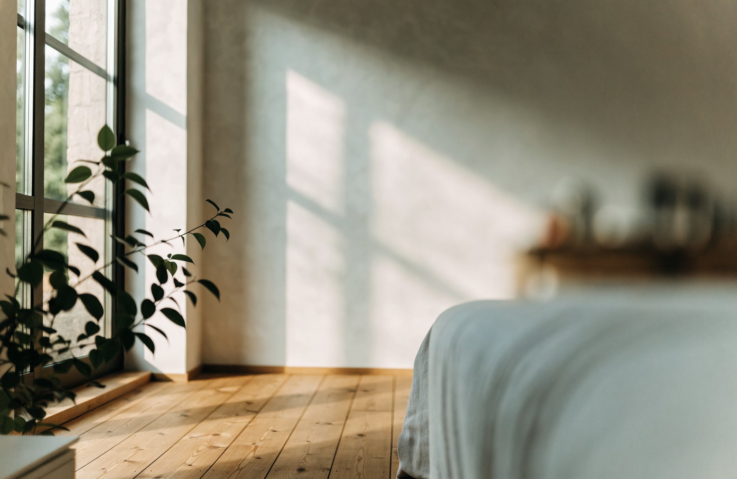 Ruhiger, heller Wohnbereich mit Sonnenlicht auf Putzwand und Holzboden – Gesundheit und Effizienz
