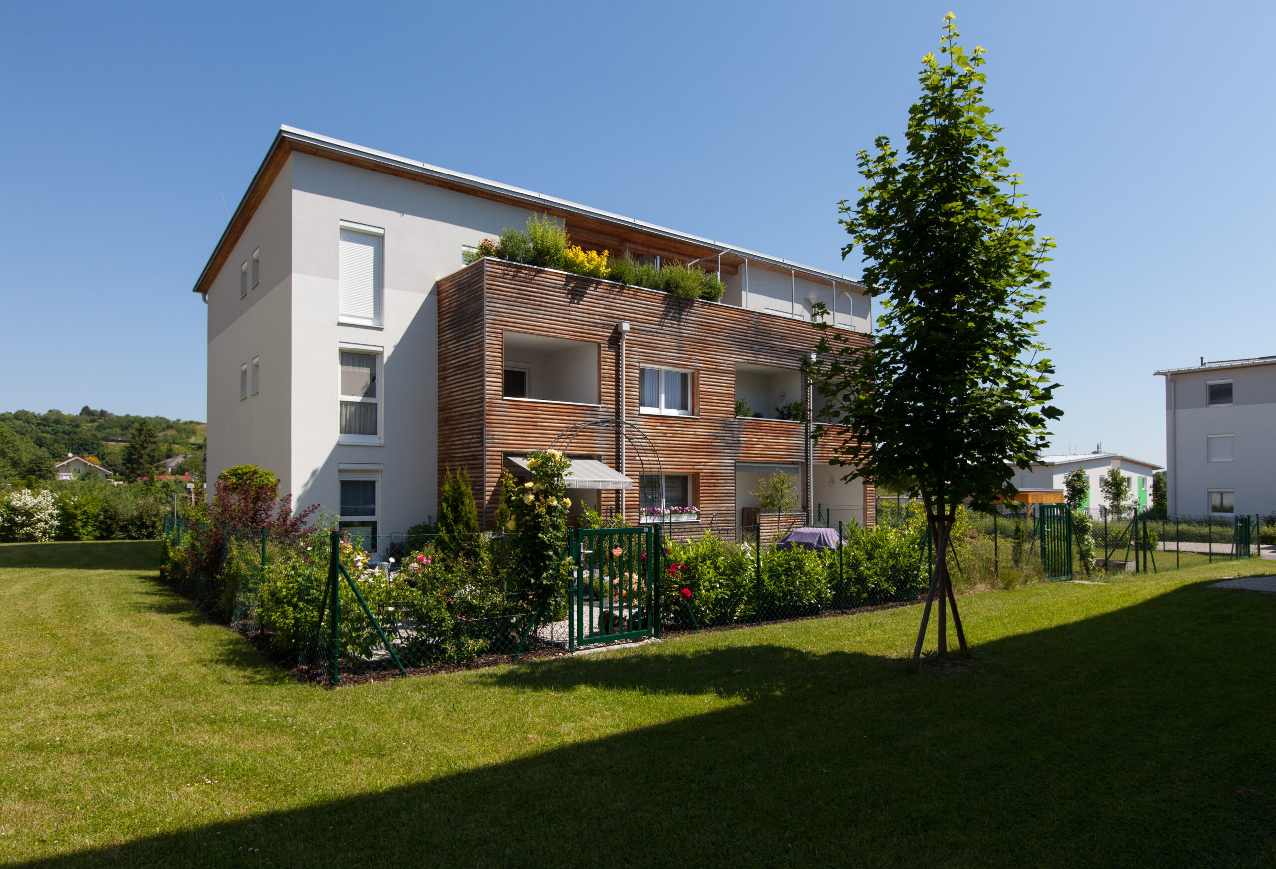 Zehentstraße Bad Sauerbrunn – Schöll Bau